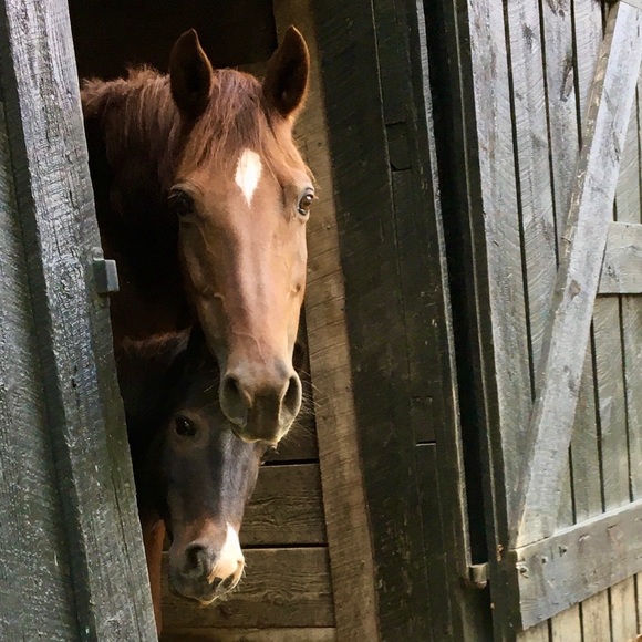 Price is too high?  Give “make an offer a try!” 🌻 - Picture 13 of 13